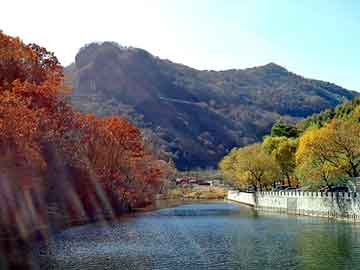 新澳天天开奖资料大全旅游团，天语论坛